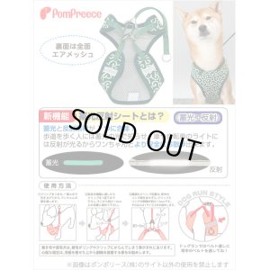 画像4: スーパーハーネス＆リード レトロ唐草 6号