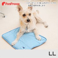 【ズバリ価格】冷えひえクールマット LL