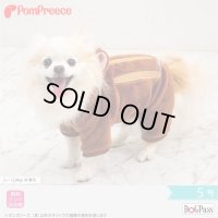 イノシシの着ぐるみ 5号