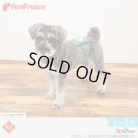 マナーベルト 唐草富士山 1〜3号