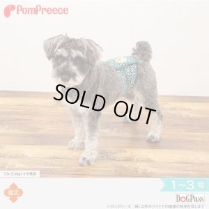 画像1: マナーベルト 唐草富士山 1〜3号