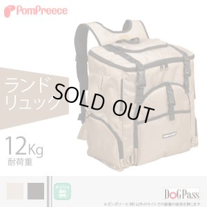 画像1: 12Kg対応 ランドリュック ビッグフィットキャリー