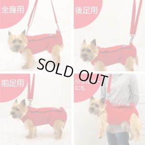 画像6: ロング用 オス・メス兼用3WAY ケアハーネス 2号