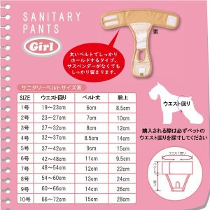 画像2: ベルト型サニタリーパンツ 水玉 4号