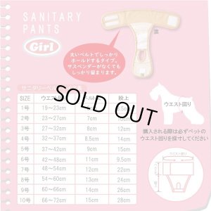 画像2: 中大型犬用 ベルト型サニタリーパンツ 水玉 9号