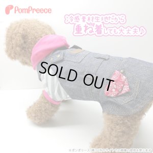 画像5: クール加工付ボーダーパーカー【4号】