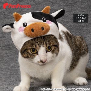 画像4: 【お買い得】干支かぶり帽 リトルモーモー 【LL】
