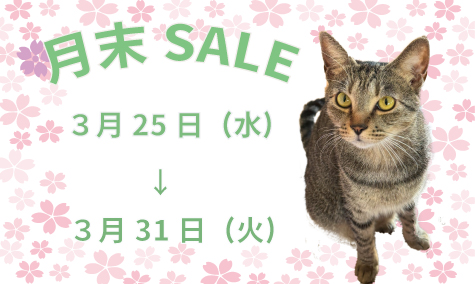月末SALE