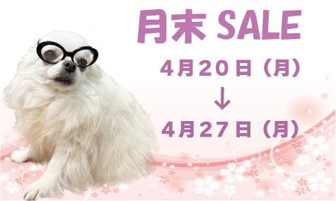 月末SALE