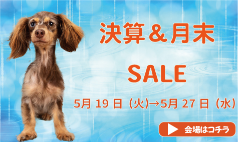 月末SALE