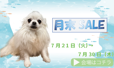 月末SALE