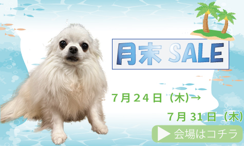 月末SALE