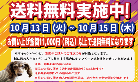 送料無料キャンペーン
