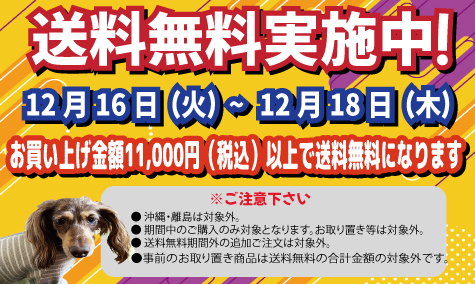 送料無料キャンペーン