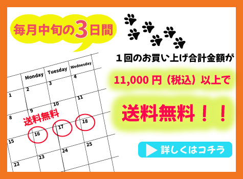 11,000円以上送料無料