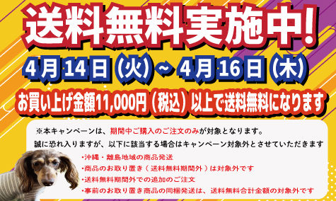 送料無料キャンペーン