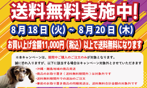 送料無料キャンペーン