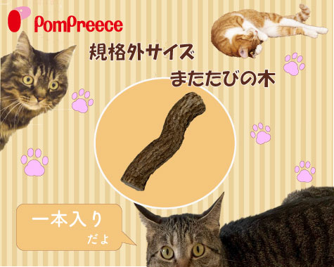 規格外またたび