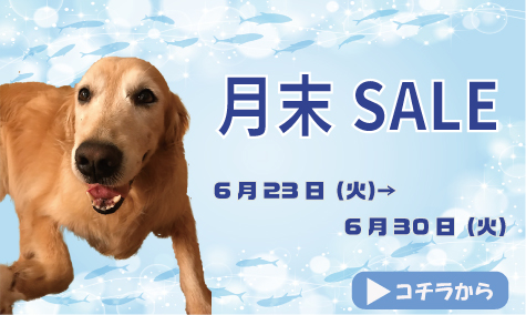 月末SALE