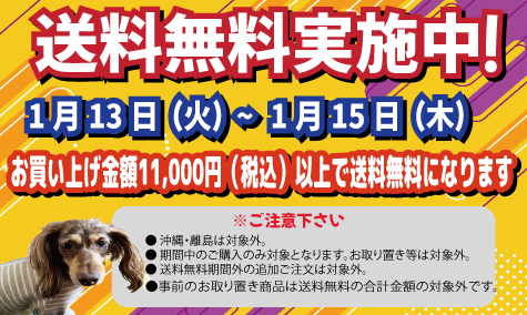 送料無料キャンペーン