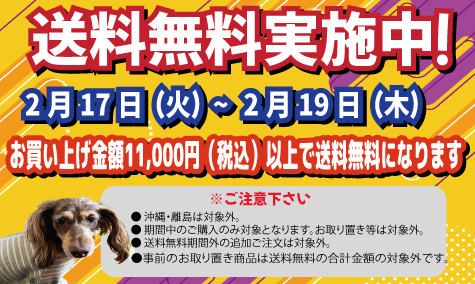 送料無料キャンペーン