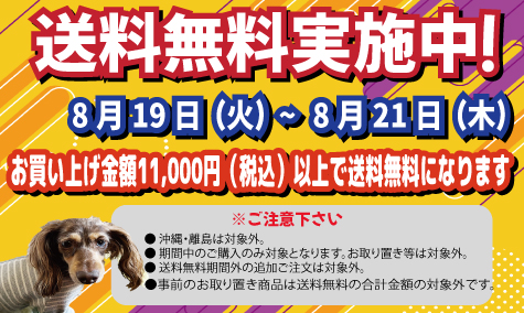 送料無料キャンペーン