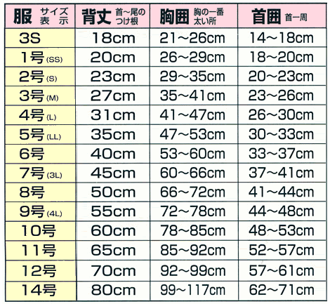 サイズ表