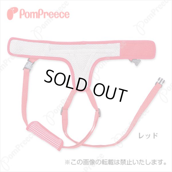 画像3: 【お買い得】後足用 ヘルプパンツ ヒッコリー ５号 (3)