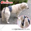 画像1: 【お買い得】中・大型犬用 後足用 ヘルプパンツ ヒッコリー 9号 (1)