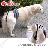 画像: 【お買い得】中・大型犬用 後足用 ヘルプパンツ ヒッコリー 9号