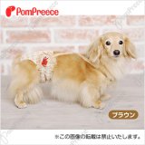 画像: 【お買い得】ダックス用ダイパー型サニタリーパンツ フェアオーガニックチェック 2〜3号　グリーンのみ