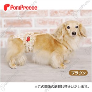 画像: 【お買い得】ダックス用ダイパー型サニタリーパンツ フェアオーガニックチェック 2〜3号　グリーンのみ