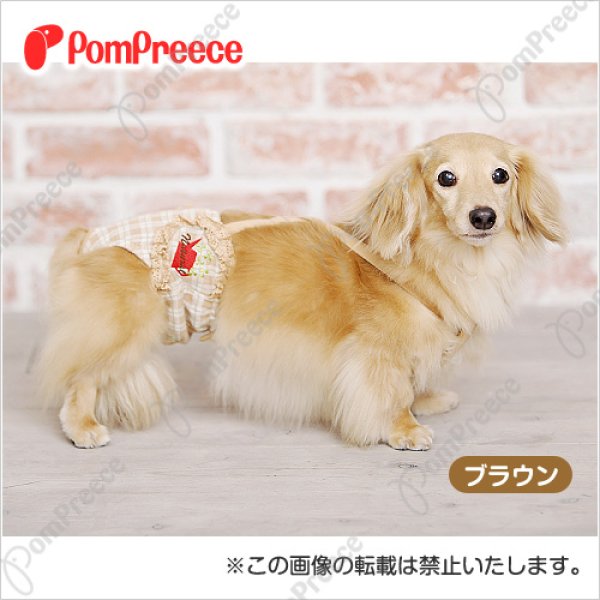 画像1: 【お買い得】ダックス用ダイパー型サニタリーパンツ フェアオーガニックチェック 2〜3号　グリーンのみ (1)