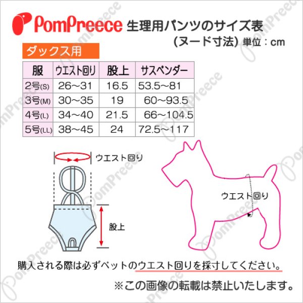 画像3: 【お買い得】ダックス用ダイパー型サニタリーパンツ フェアオーガニックチェック 2〜3号　グリーンのみ (3)