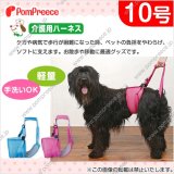 画像: 【お買い得】中大型犬用 後足用ヘルプパンツ ハッピーメッシュ　７〜 １０号