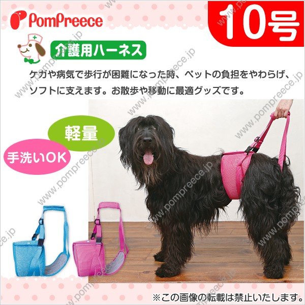 画像1: 【お買い得】中大型犬用 後足用ヘルプパンツ ハッピーメッシュ　７〜 １０号 (1)