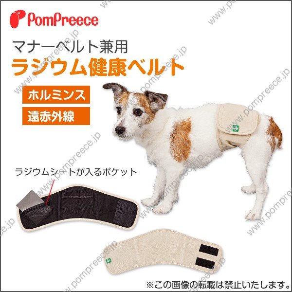 画像1: 中・大型犬用マナー兼用ラジウム健康ベルト　9号 (1)