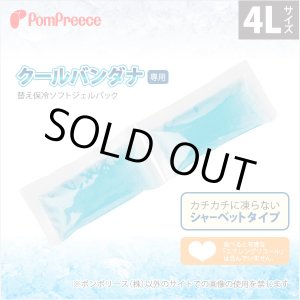 画像: クールバンダナ専用替え保冷ソフトジェルパック【4L】