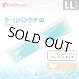 画像: クールバンダナ専用替え保冷ソフトジェルパック【LL】