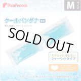 画像: クールバンダナ専用替え保冷ソフトジェルパック【M】