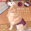 画像2: 中大型犬用 マナーベルト メッシュストライプ 8〜10号 (2)