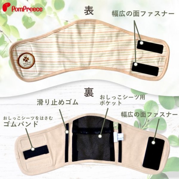 画像5: マナーベルト　オーガニックボーダー　「1〜5号」 (5)