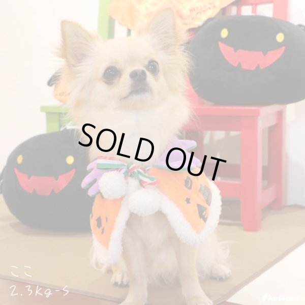 画像4: リバーシブルケープ　ハロウィン・Xmas　【M】 (4)