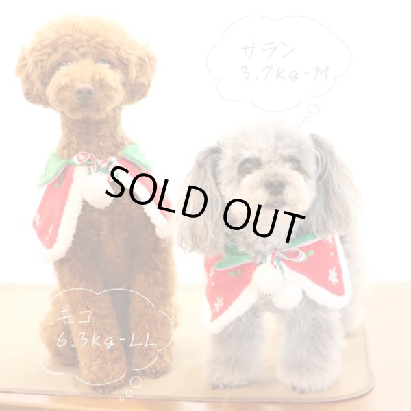 画像3: リバーシブルケープ　ハロウィン・Xmas　【M】 (3)