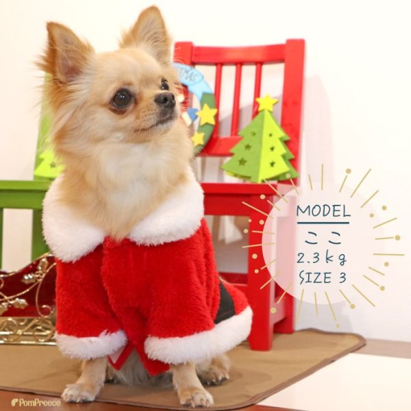 画像4: フレンチサンタコート 4〜5号 (4)