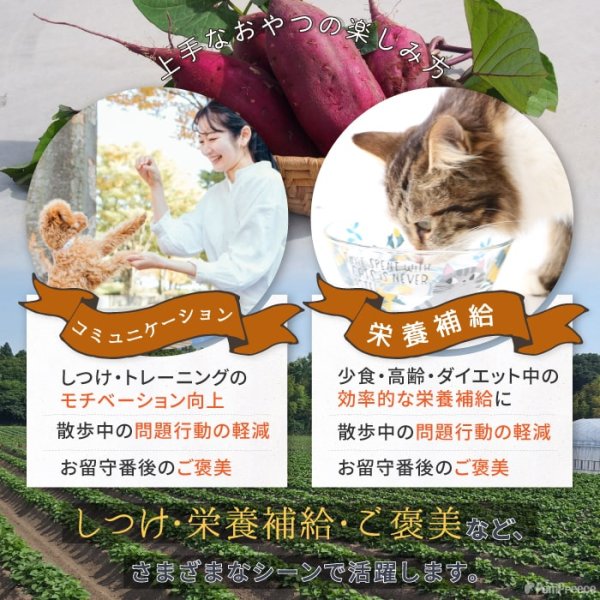 画像8: さつまいもボーロ 45g【リニューアル】 (8)