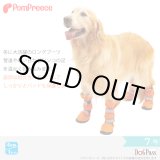 画像: 【お買い得】中大型犬用 レインブーツ 7号サイズ