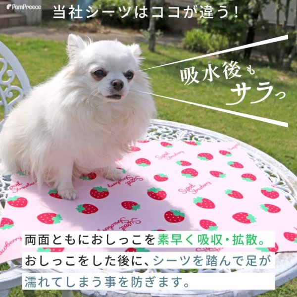画像3: 洗える制菌ペットシーツ　ストロベリー＆ハグベアーポム　Mサイズ　 (3)