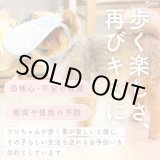 画像: アイ＆フェイスガード メッシュブリムハット【S】