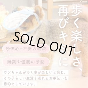 画像: アイ&フェイスガード メッシュブリムハット【S】